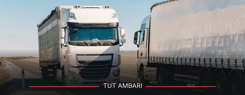 Tut Ambarı